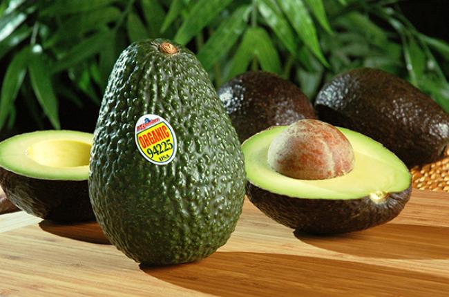 Arethusa Wind Avocado is the newest - Cowsmopolitan, Inc